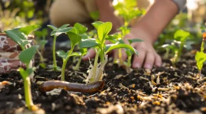 6 astuces de grand-père contre limaces et escargots pour protéger vos semis de printemps