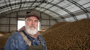 Crise de la pomme de terre : « Un million de tonnes en trop, la filière appelle à être raisonnable »