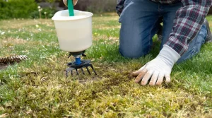 Printemps : cette zone verte du jardin que vous ruinez avec l’engrais sans le savoir, 4 gestes à faire